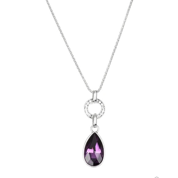 Paparazzi purple million long dollar necklace